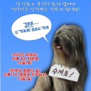 ＜ 긴급＞ 아고라 난리 났습니다.수개표 촛불시위-1월 12일(토) 오후 4시 대한문 앞＞글쓴이:난리났다 =＞드디어 천군만마가 수개표에 나섰습니다. 이미지