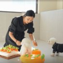 코모네펫하우스 이미지