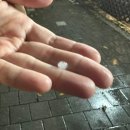 내고향분식 이미지