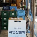 조피나메밀묵