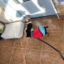 길경진동물병원 이미지