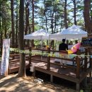 시립박물관 노리숲길 이미지