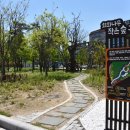 작은나무숲 이미지