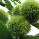 항골농장 이미지