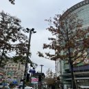 미도파백화점환승역
