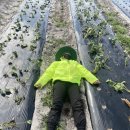 주명농장 이미지