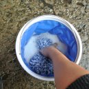 몬스터워시 이미지