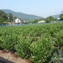 무성농장 이미지