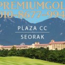 대하프라자 이미지