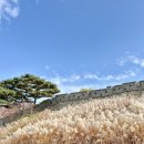 (비대면)업사이클링 펩아트 트리만들기 | 행복을 꾹꾹 눌러담은 11월 ❄️