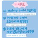 오키드스튜디오 이미지