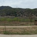 화려강산