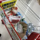 노멀즈커피 | (청도 베지아웃 다녀온)일상