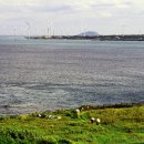 한라산천연보호구역 | 제주 최서단 무인도, 천연기념물 차귀도(죽도) 탐방 후기