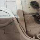 장모님주유소 이미지