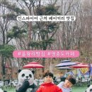 카페판다인천
