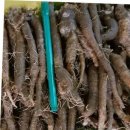 고씨네 농장 이미지