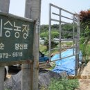 희승농장 네이버블로그