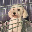 경남사거리 이미지