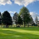 양지말해장국 | 비콘힐스 노캐디 후기 - 캐디비 16만원 절감하는 강원도 가성비 골프장 (가격표 포함)