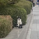 남여니네횟집 이미지