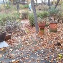 백운장수촌 이미지