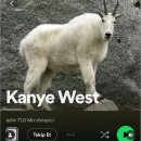 일진농장 | Bully 앨범 해석 및 평가