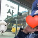 대일공업사 이미지