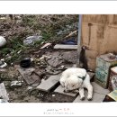 천성세차장 이미지