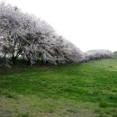 한우목장 이미지