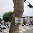 스타벅스 앞 이미지