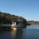 철새보는집 이미지