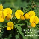 오늘,설레임