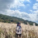 고헌산상회 이미지