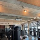 그레잇GYM 이미지