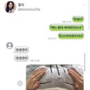 피스테라 이미지