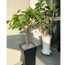 봉명동행정복지센터 이미지