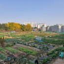 민영농장 이미지