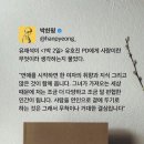 골든 커리 이미지