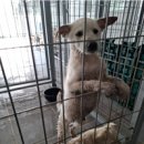 난대경로당 이미지