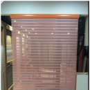 에코레이 이미지