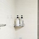 솔펜션 | 경북 영주 풍기 IC 근처 솔마음황토펜션 후기