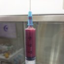 킴리동물병원 이미지