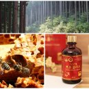 프로폴리스 효능 및 좋은 프로폴리스 고르는 방법 추천! 이미지