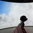 SN박물관 이미지