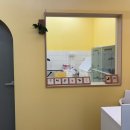 댕이픽업 이미지