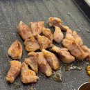 제주시청 맛집 금돈상회 제주 흑돼지 솔직후기 | 심야영업 제주 식당