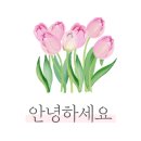 스텔라티스 이미지