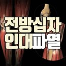 크로바재활의학과의원 이미지