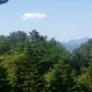 (주)내린천환경 이미지